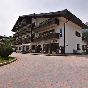 Hotel Comelico